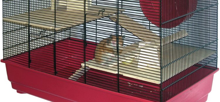 Hamsterkäfig Roy