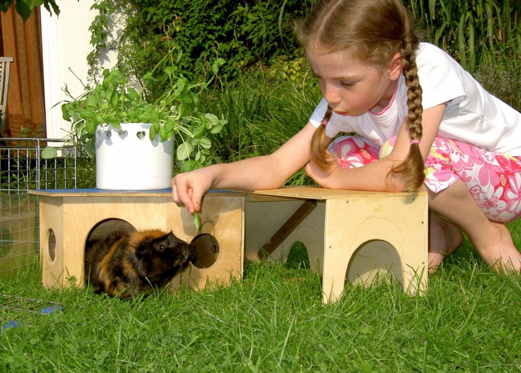 35+ Kaup Freude Mit Tier Und Garten, 64, 59269, beckum deutschland