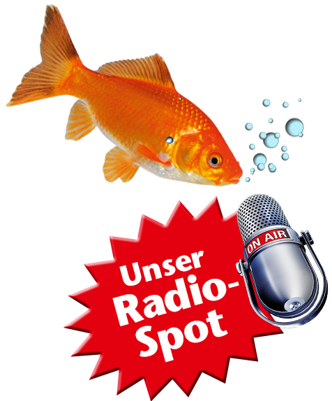 Zoo Kaup in Neubeckum RadioSpot Zoo Kaup