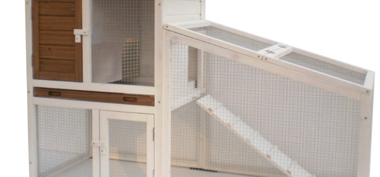 Kaninchen- Meerschweinchen Außenstall mit 2 Etagen Loft