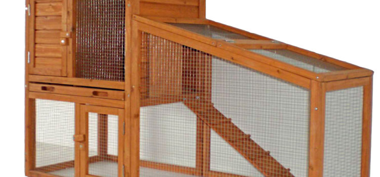 Kaninchen- Meerschweinchen Außenstall mit 2 Etagen Tommy