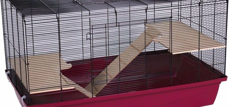 Hamsterheim Speedy