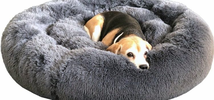 Hundebett Cuddle