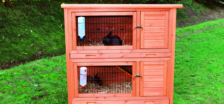 Kleintierstall Kaninchenstall Meerschweinchenstall Trixie doppelt